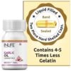 INLIFE Garlic Oil Supplement, 500mg - 60 Capsules