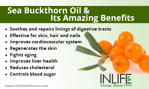 5 Sea Buckthorn Oil benefits for skin  hair  Mountainlife   Mountainlifehealth
