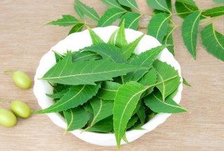 Benefits of Neem for Health