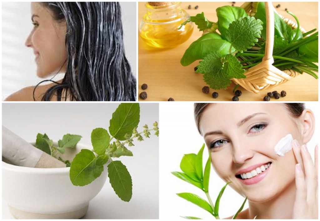 Benefits of Using Basil for Skin and Hair