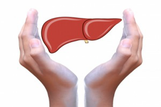 liver and foods