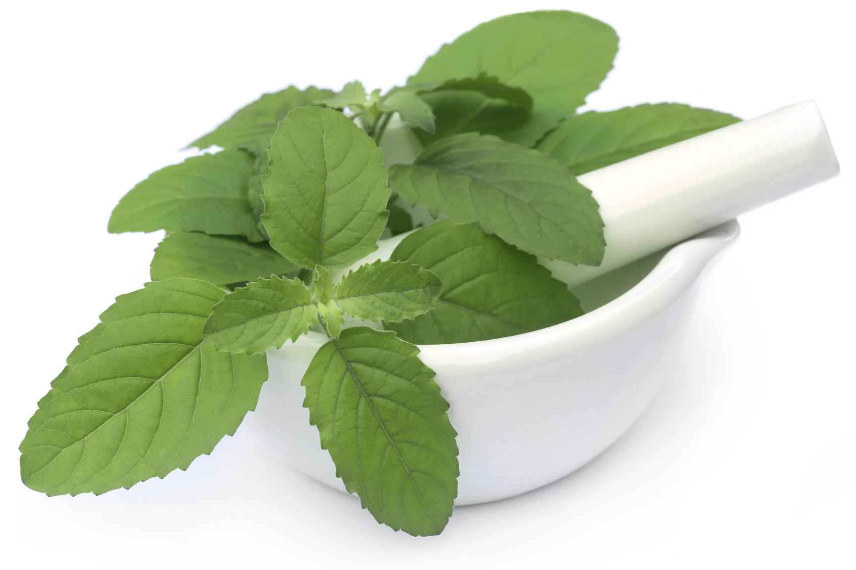 Holy Basil for menstrual cramps InlifeHealthCare