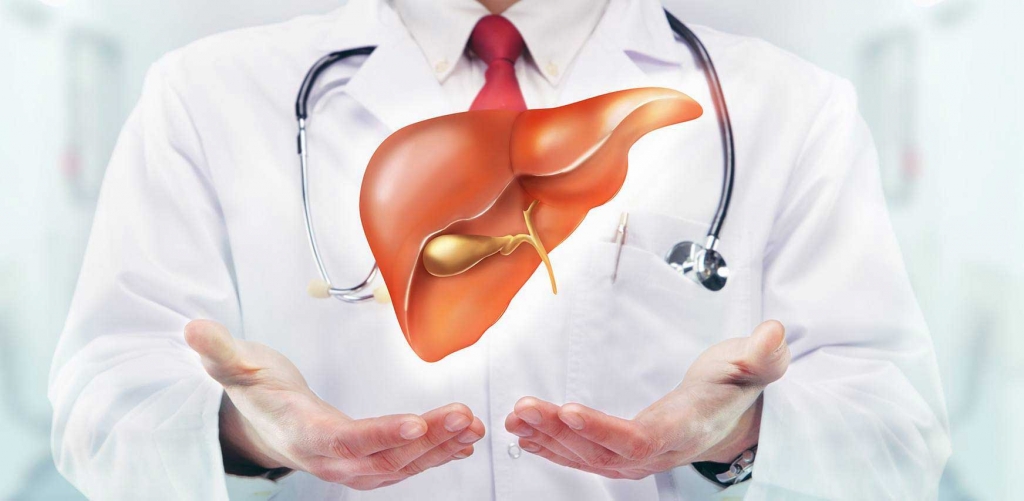 Fatty Liver Diseases – Causes And Prevention