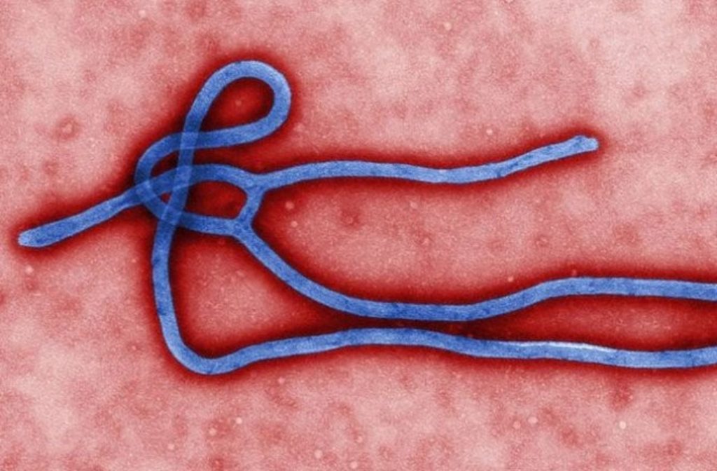Could The Epidemic Ebola Hemorrhagic Fever Be Prevented In India?