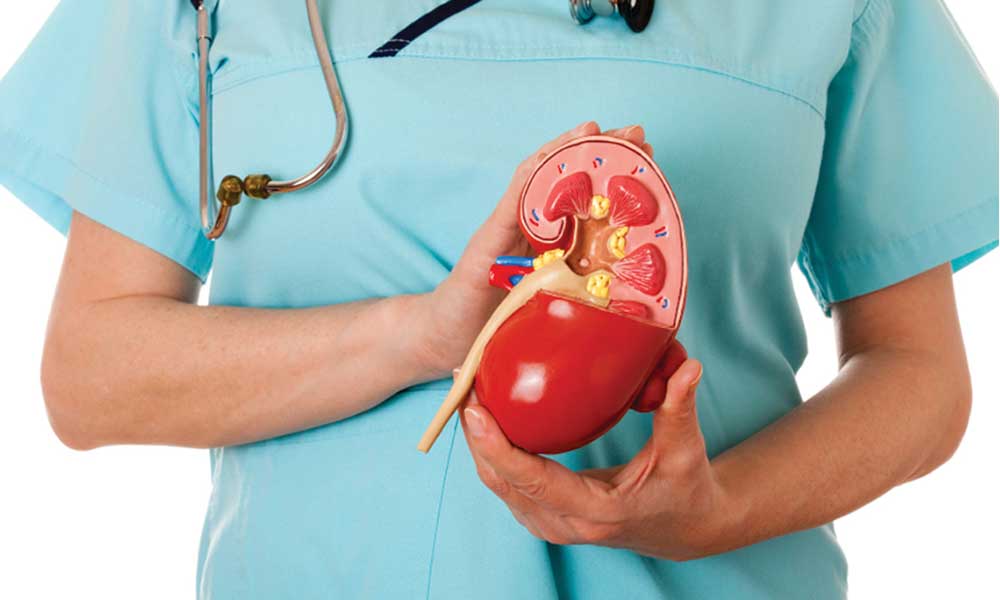 Some Symptoms To Detect Early Stage Of CKD (Chronic Kidney Disease)