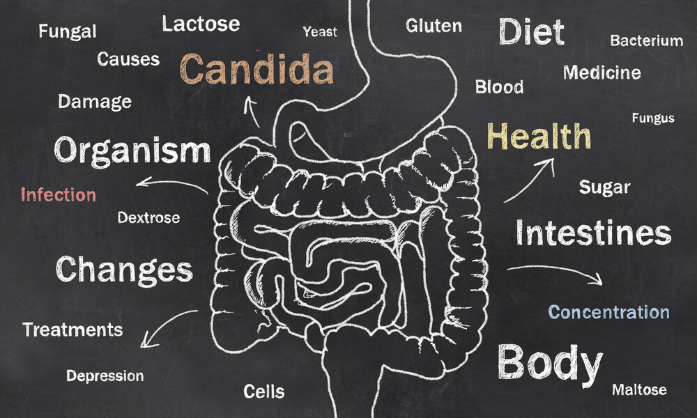 High fiber-diet and gut bacteria - Have we missed something?
