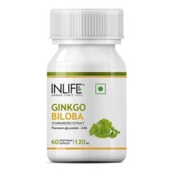 INLIFE Ginkgo Biloba Supplement, 120mg - 60 Vegetarian Capsules