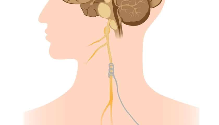 All you need to know about vagus nerve