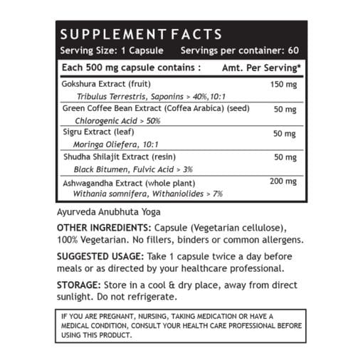 INLIFE Energy Booster Supplement, 500mg - 60 Vegetarian Capsules - Image 3