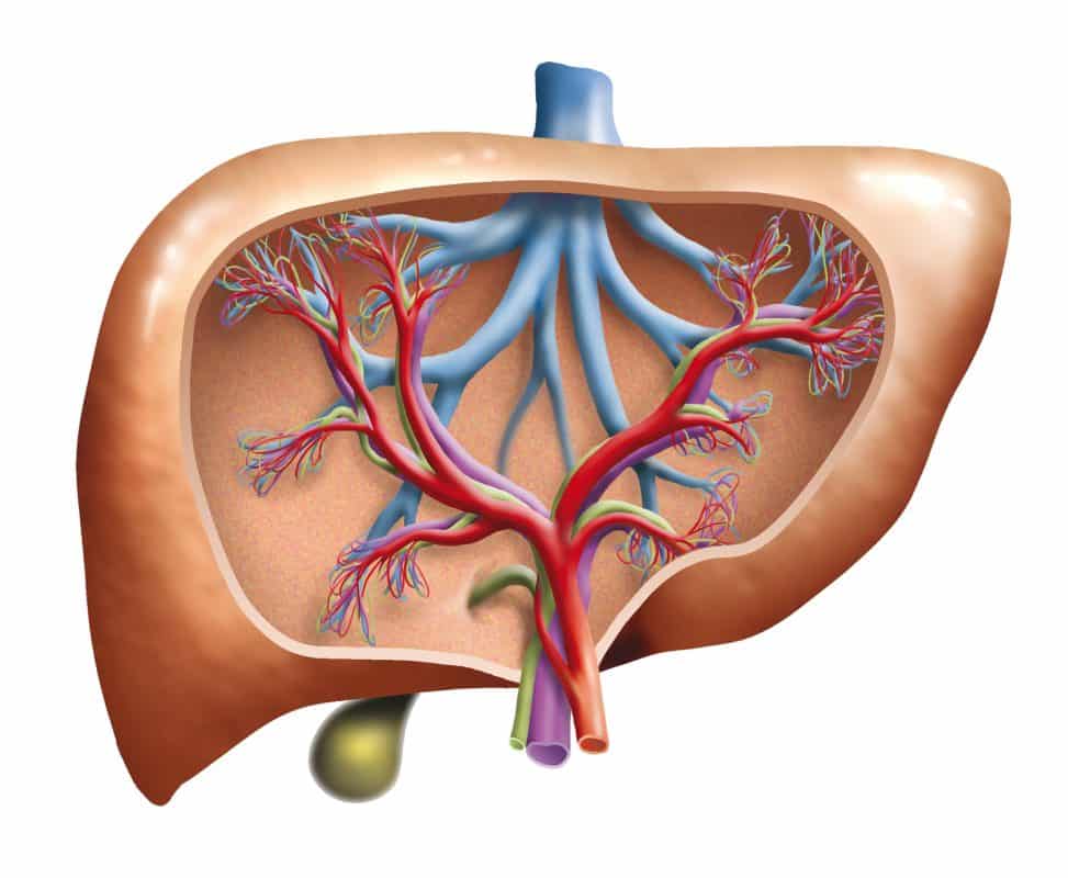 InlifeHealthCare