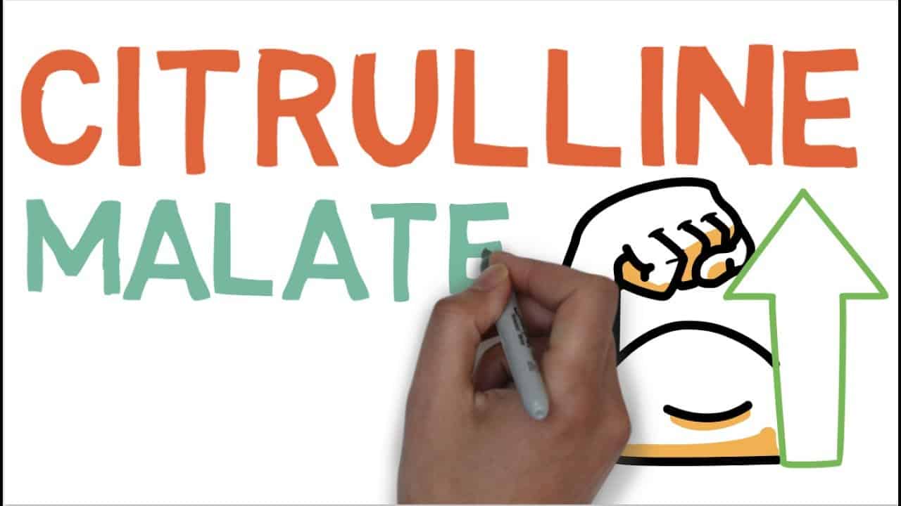 Citrulline Malate Role and Benefits