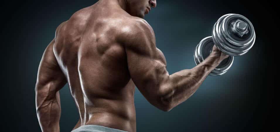Citrulline Malate in Bodybuilding
