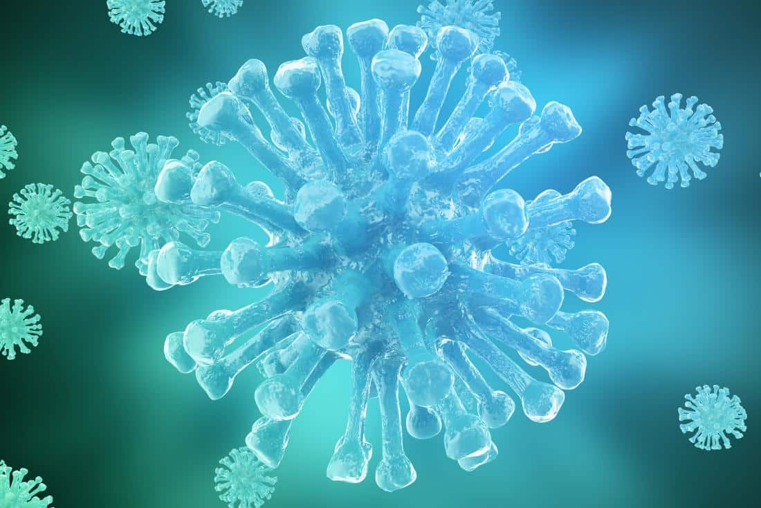 Immunity System: Types, Weak Immunity, Causes, Symptom & Foods