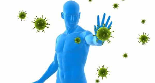 What Is Immunity And Types Of Immunity?
