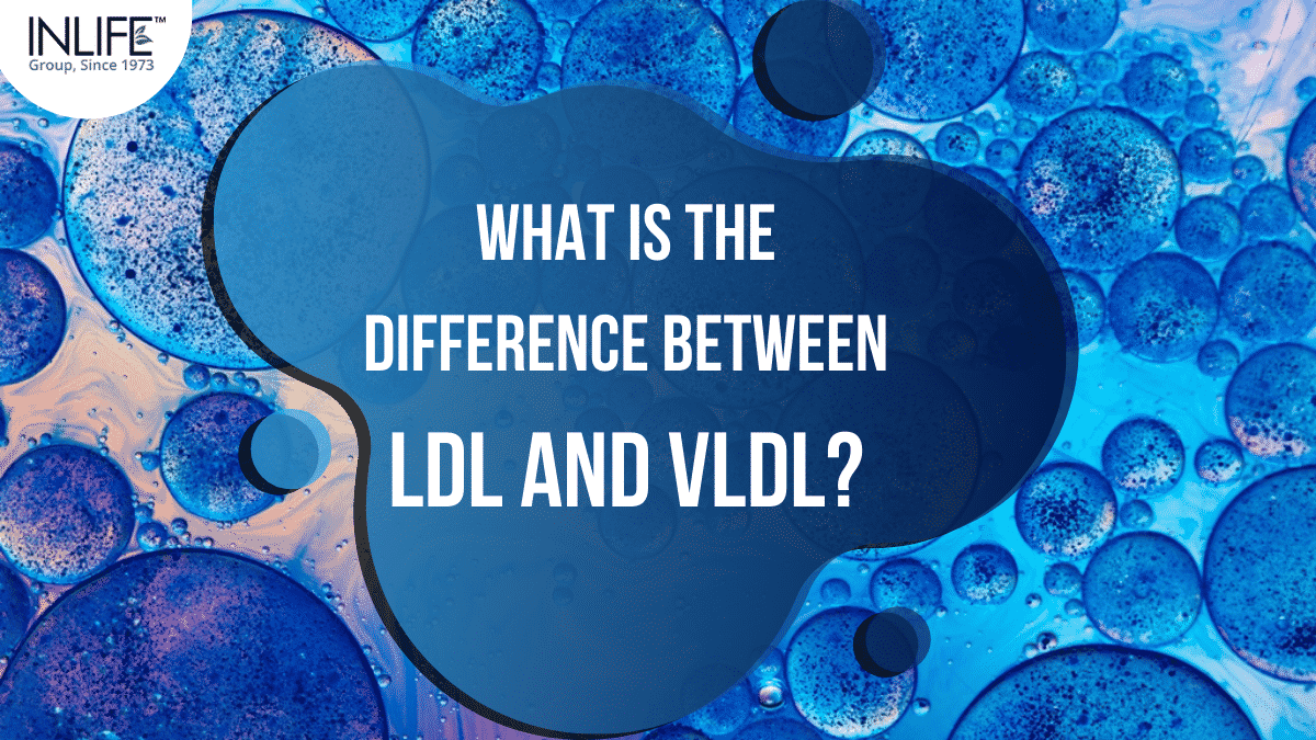 What Is The Difference Between LDL And VLDL?