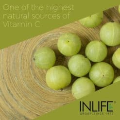 Amla rich sourece of vitamin c